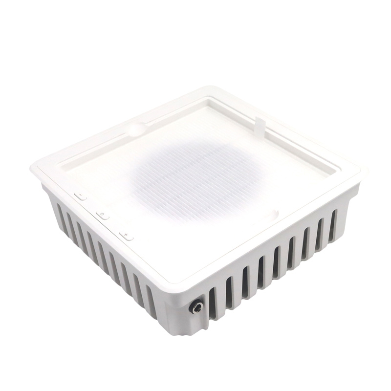 Professionaalne küünte tolmueemaldaja